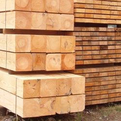 Вартість одного кубометру деревини на електронних торгах ТОВ УУБ